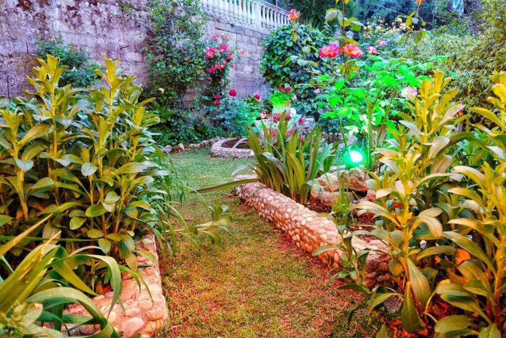 σπιτι αντωνησ γιαννα House Adonis Giana Dom wakacyjny