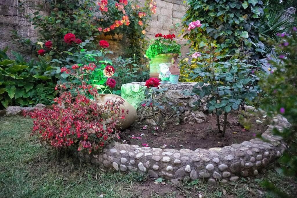 σπιτι αντωνησ γιαννα House Adonis Giana Ano Pavliana