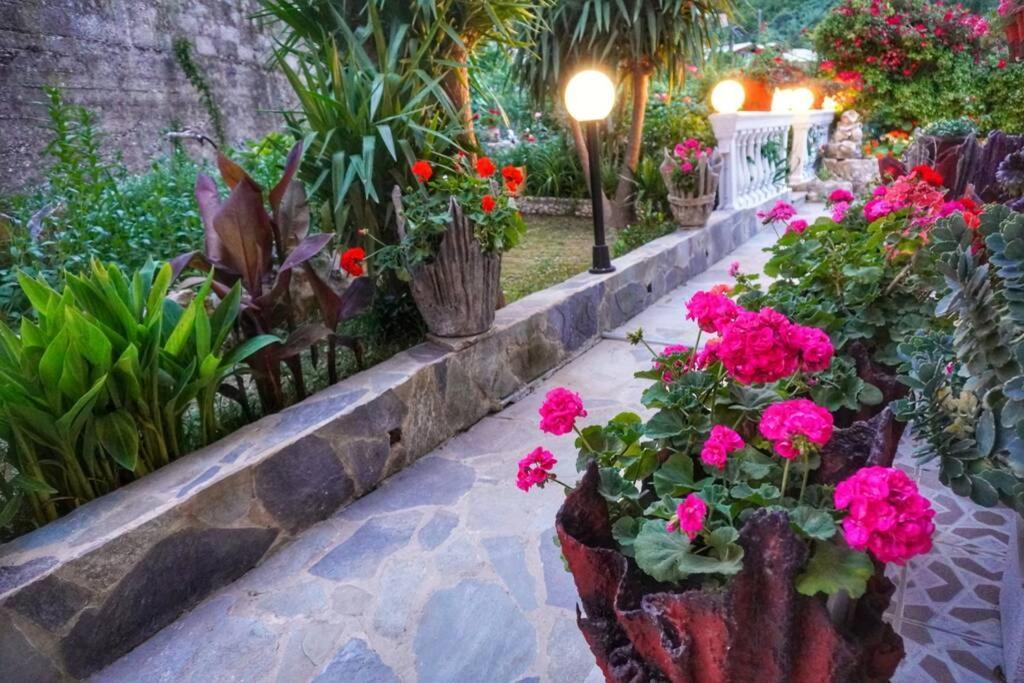 σπιτι αντωνησ γιαννα House Adonis Giana *