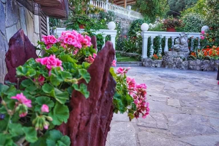 σπιτι αντωνησ γιαννα House Adonis Giana * Ano Pavliana